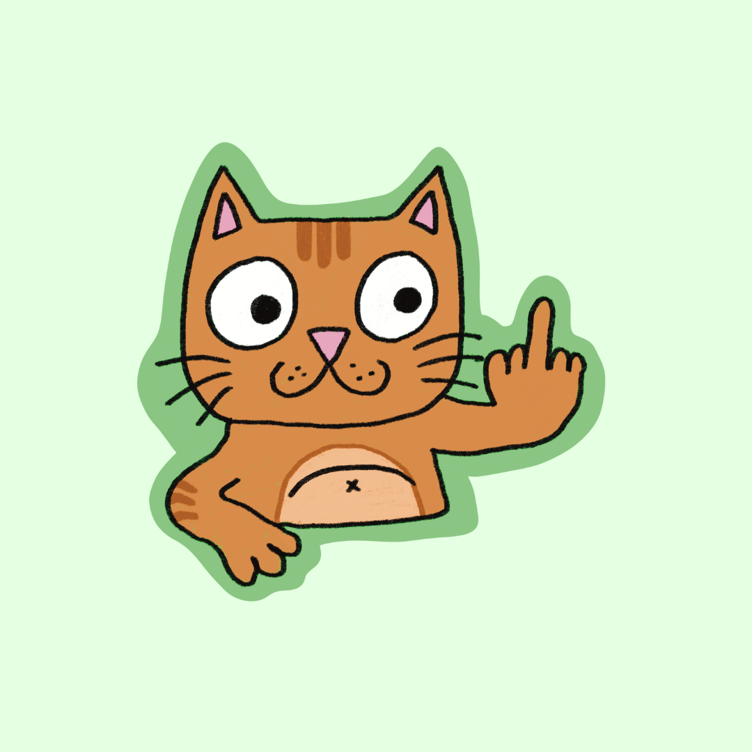 Tabby zzz... MIDDLE FINGER CAT! Vinyl sticker. ₍⸍⸌̣ʷ̣̫⸍̣⸌₎
