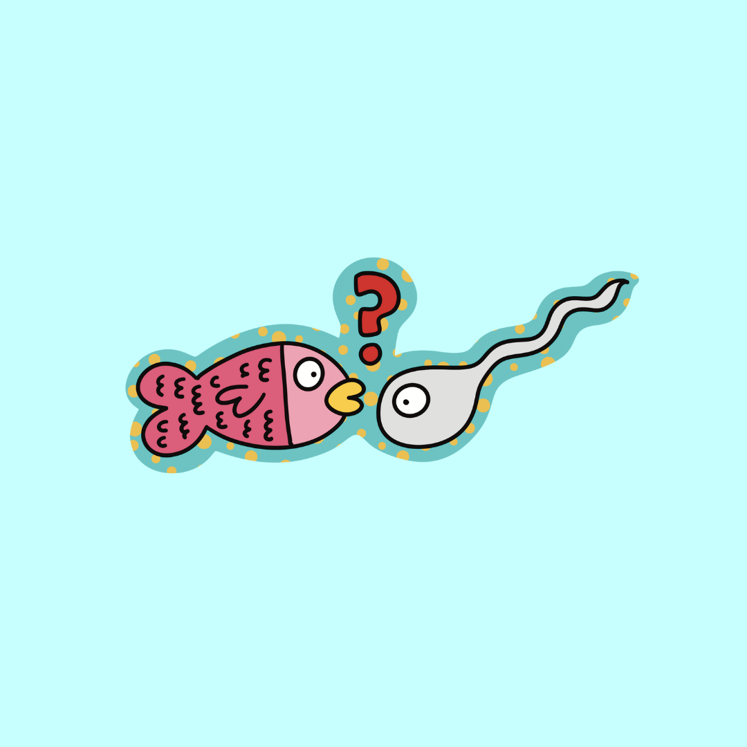 funny looking fish 𓆝.°•? GLITTER Vinyl sticker...